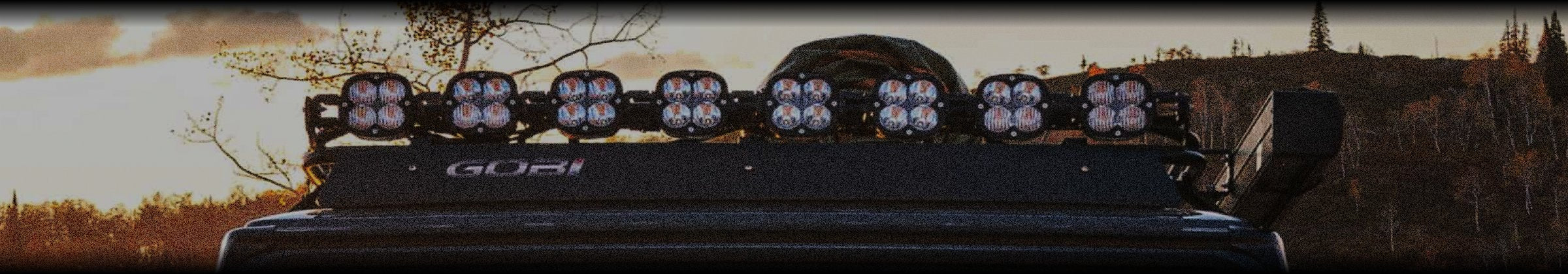 Lighting Options